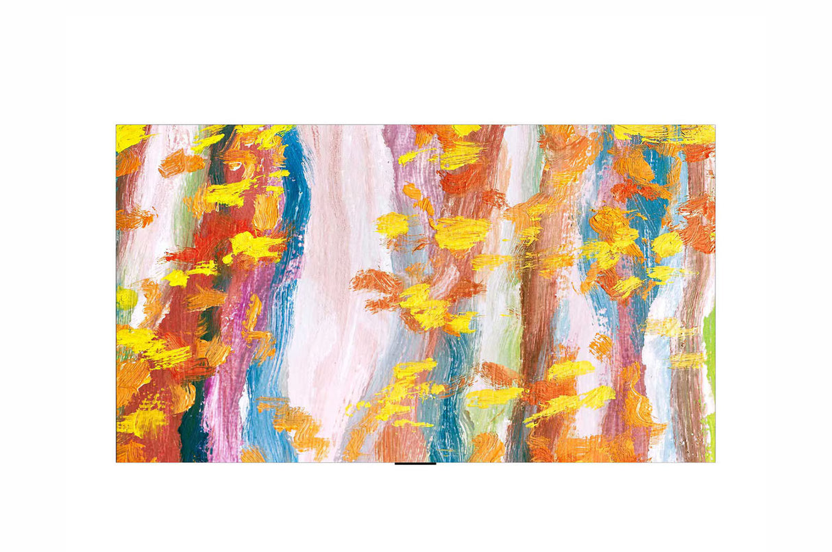 Hotel TV LG 55WN960H0LD.AEU 55" OLED autoilluminato webOS22