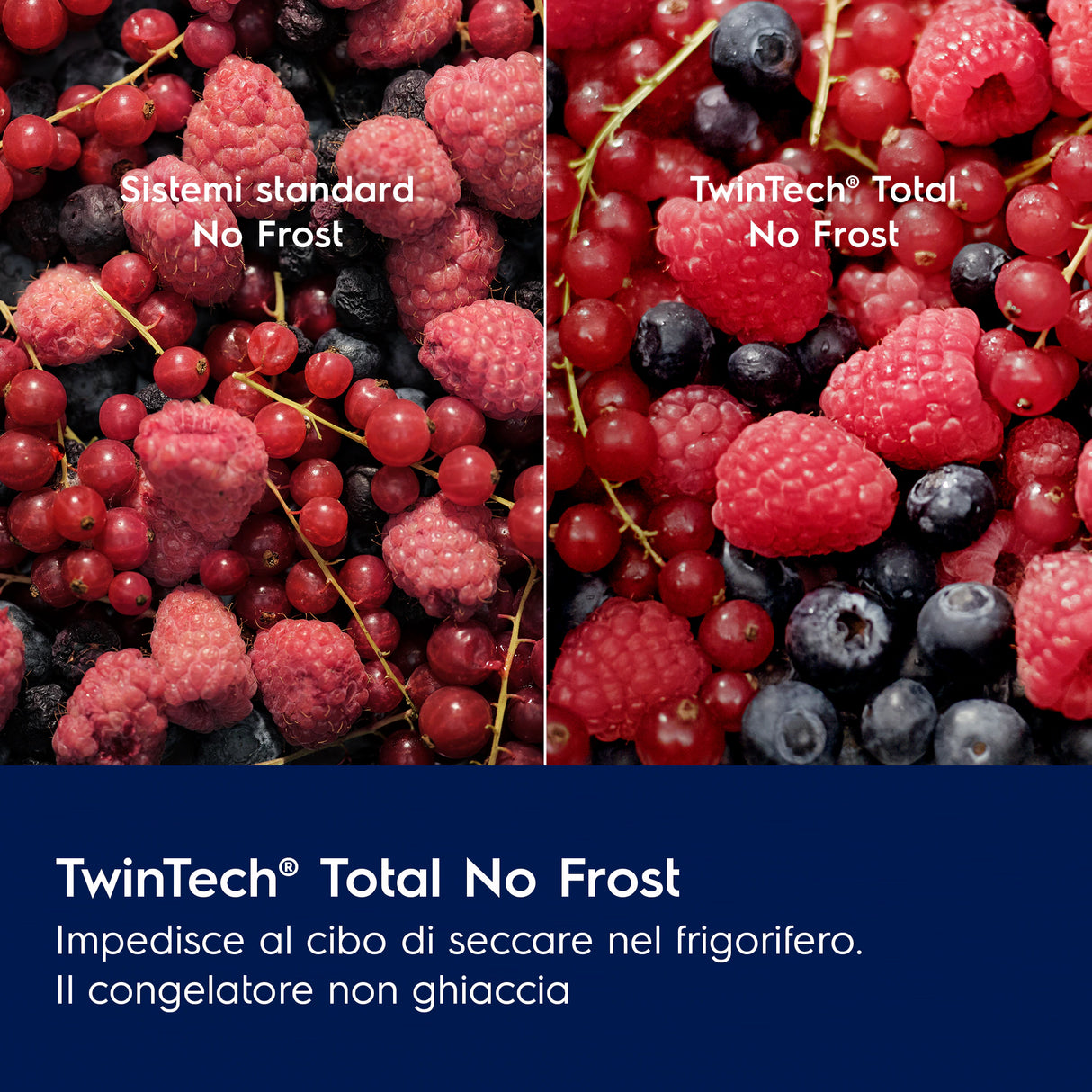 Frigorifero Electrolux ENT6MD19S Da Incasso Classe E Serie 600 TwinTech® Total No Frost 188,4 cm