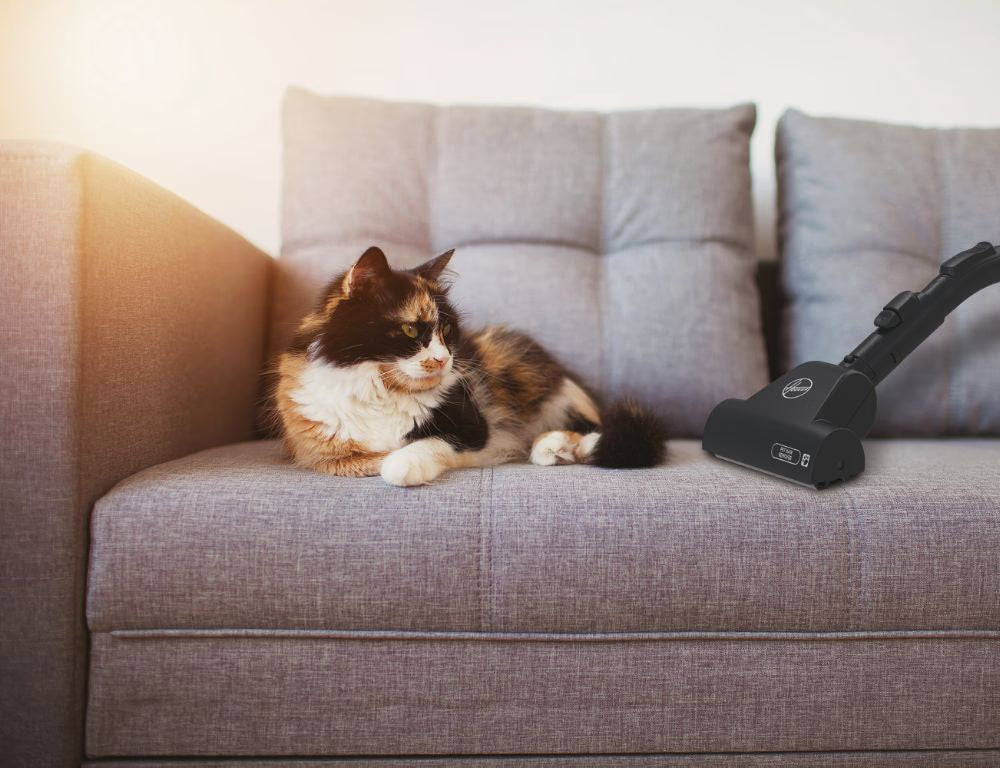 Aspirapolvere Hoover HE520PET011 a Traino con Filo con Sacco 700W Filtro Hepa