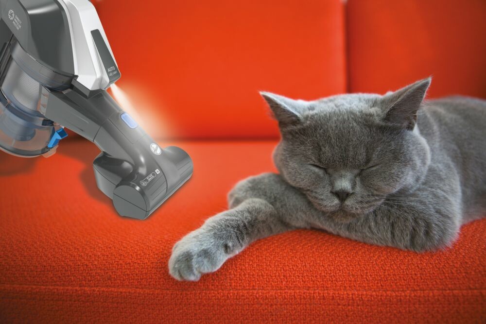 Scopa Elettrica Hoover HF322PTA 011 Sena Filo Ricaricabile