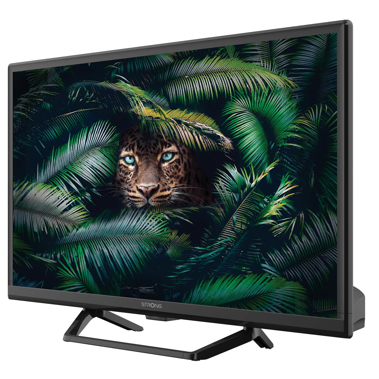 TV Strong SRT24HE4023C 24" HD Ready T2/S2/C ST CEN 220/12V