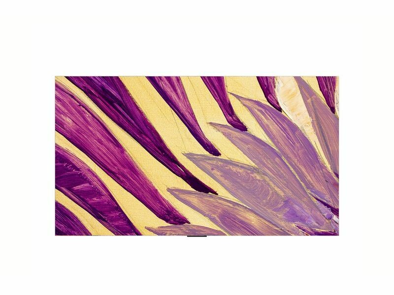 Hotel TV 55WM960H0LD.AEU 55" OLED Smart TV WebOS