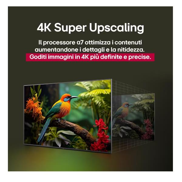 TV LG 55QNED80A6A.API 55" QNED 80A AI 4K UHD WebOS25