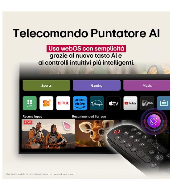 Hotel Tv LG 65QNED86A6A.API 65" QNED MiniLED 86A 4K AI UHD WebOS25