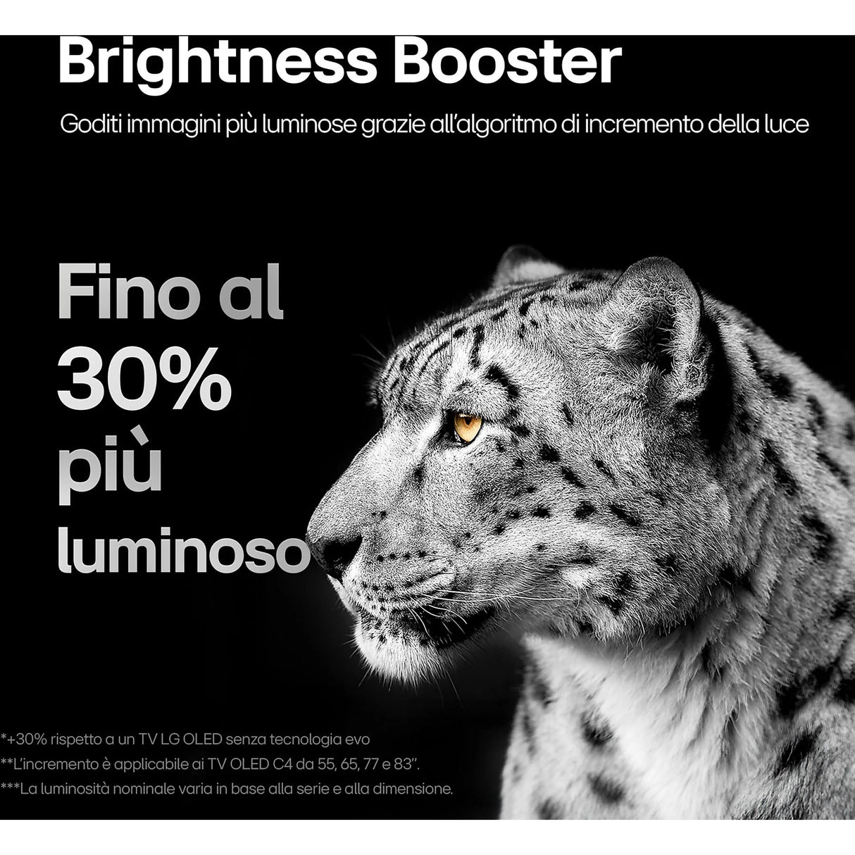 TV LG OLED77C44LA.API 77" OLED EVO C4 4K UHD WebOS24 ThinQ AI