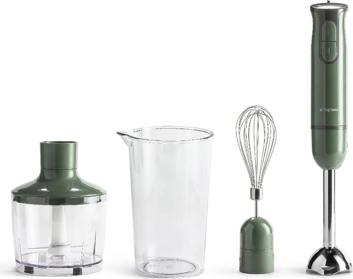 Frullatore a immersione Tognana D2DFI02IRVEA Verde Salvia