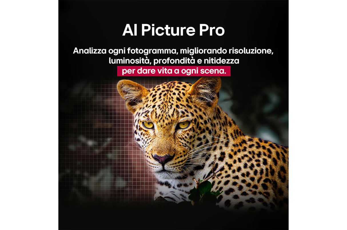 Hotel TV LG OLED77C55LA.API 77" OLED EVO 4K UHD WebOS25 Processore a9 Gen8 con AI