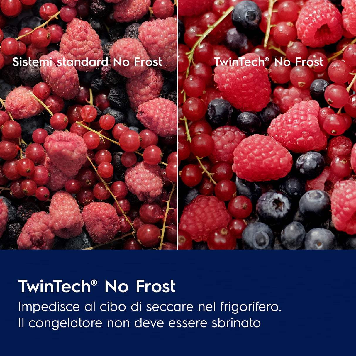 Frigocongelatore Electrolux LNT6ME18S Serie 600 TwinTech® Total No Frost – 249 L, Classe E, MultiFlow, FastFreeze