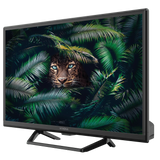 TV Strong SRT24HE4023C 24" HD Ready T2/S2/C ST CEN 220/12V