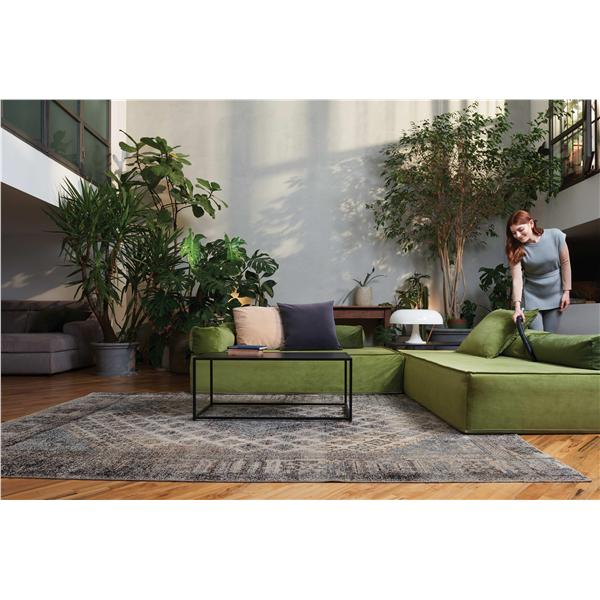 HOOVER TRAINO HE120PET 011