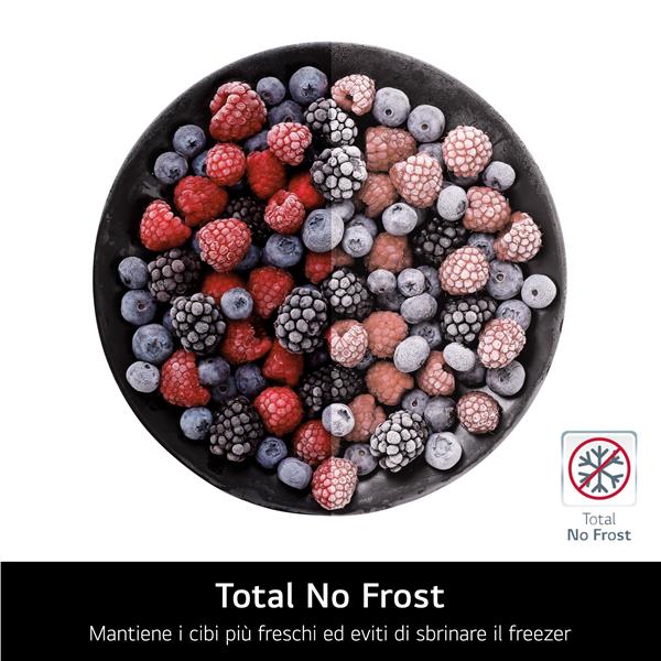 Frigorifero LG GTB744BMBED Doppia Porta Nero Classe E No Frost