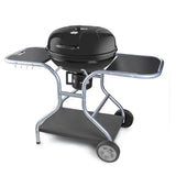 Barbecue Fieldmann FZG_1014 A Carbone Per Esterno Griglia Cromata con Termometro